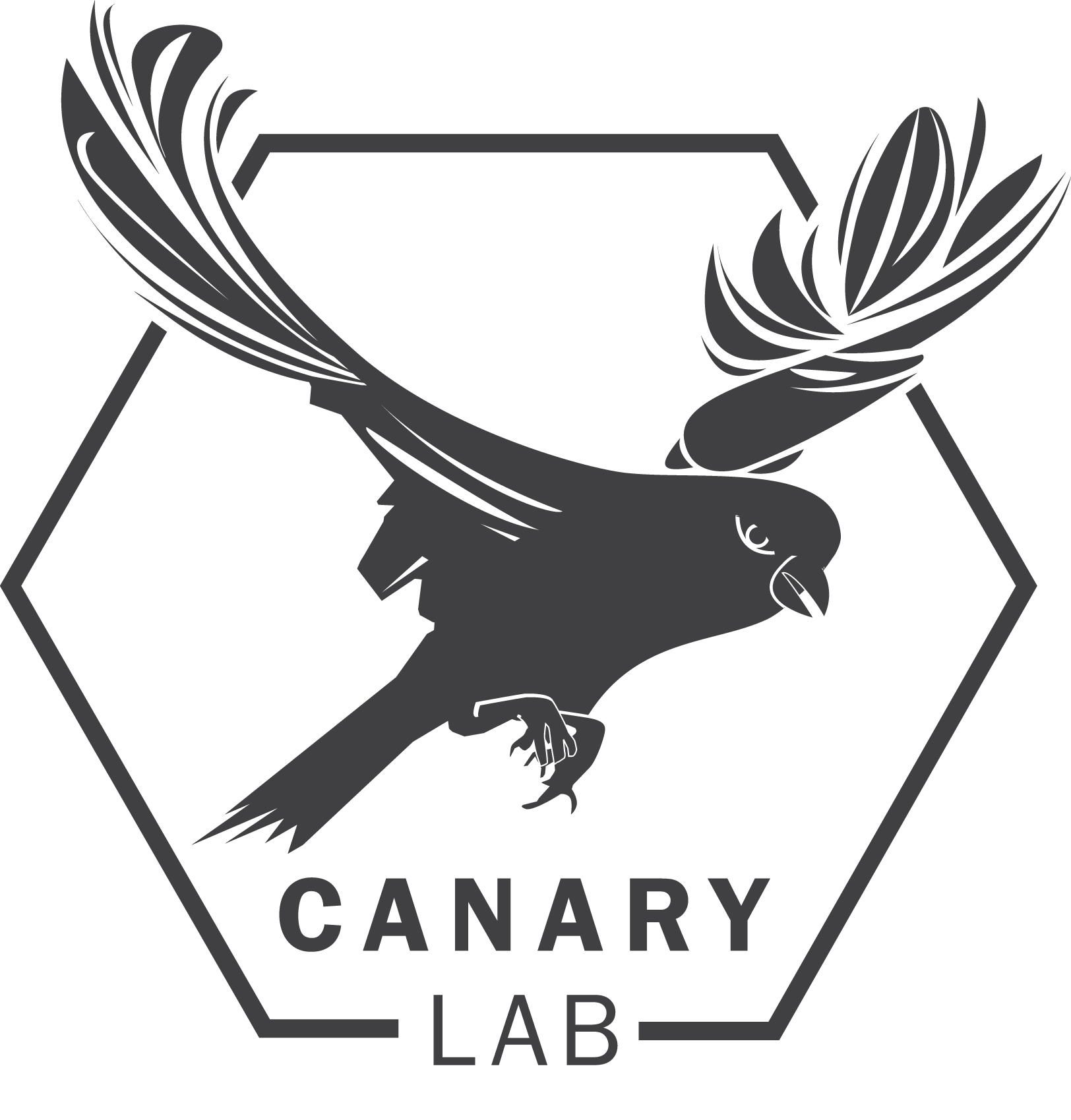 the-canary-lab-at-syracuse-university